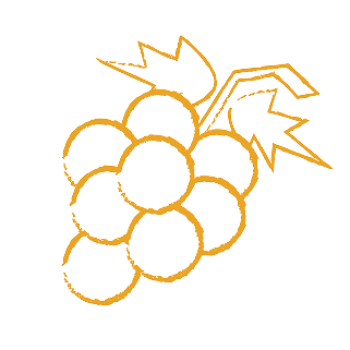 Decorative fruit