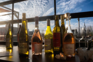 Wine Tasting Bingo